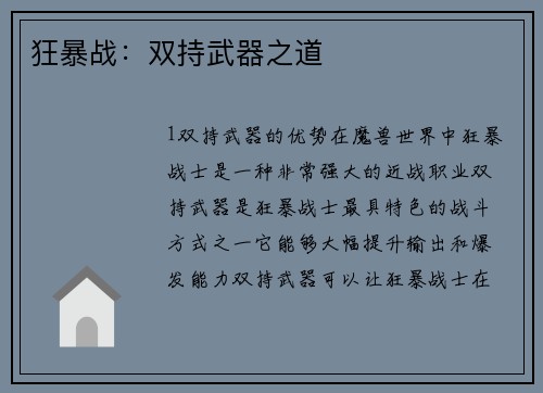 狂暴战：双持武器之道